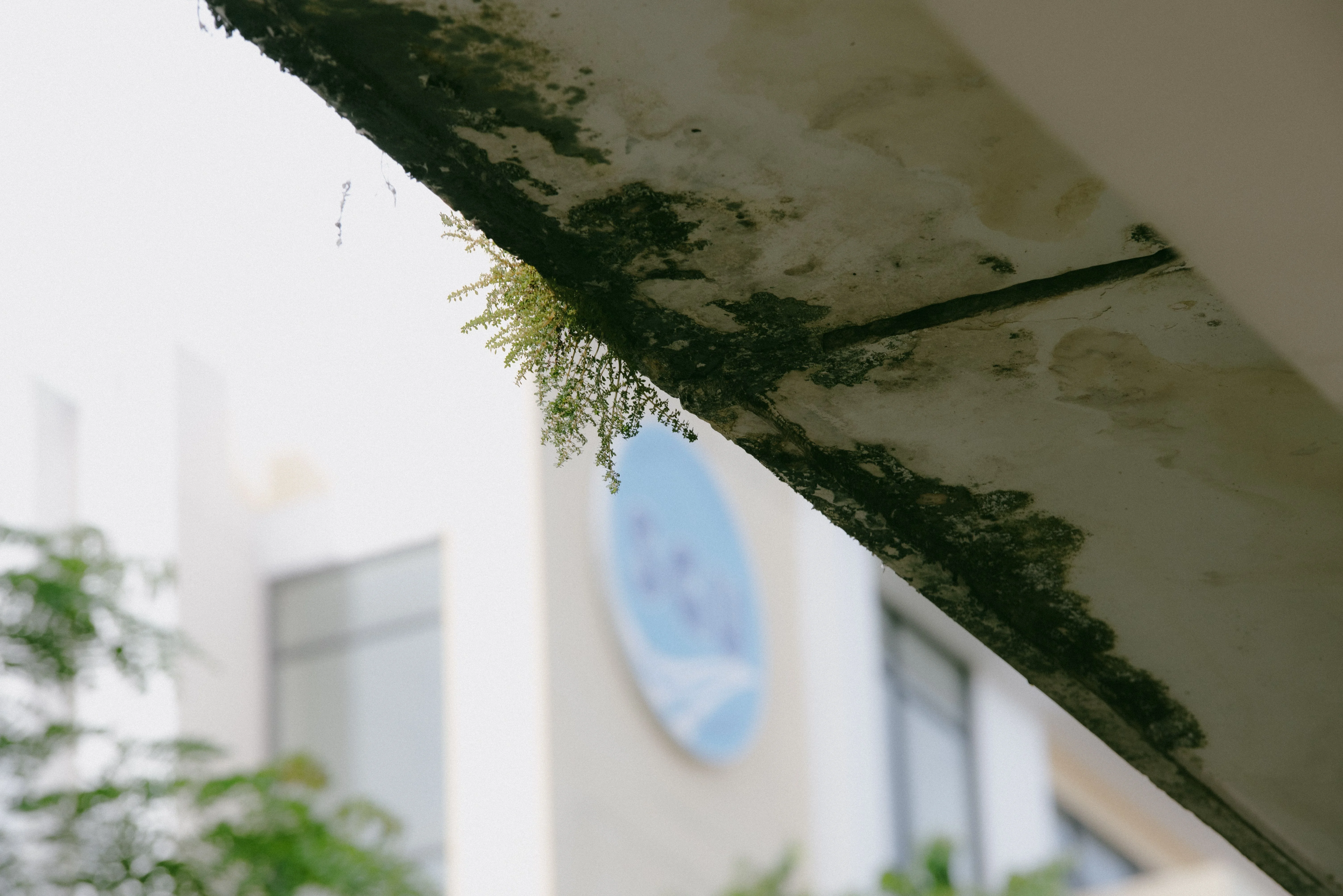 Advanced Water Seepage Diagnosis